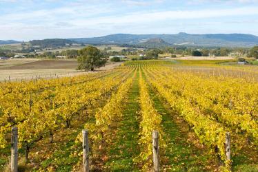 Kakheti Winery Region of Georgia